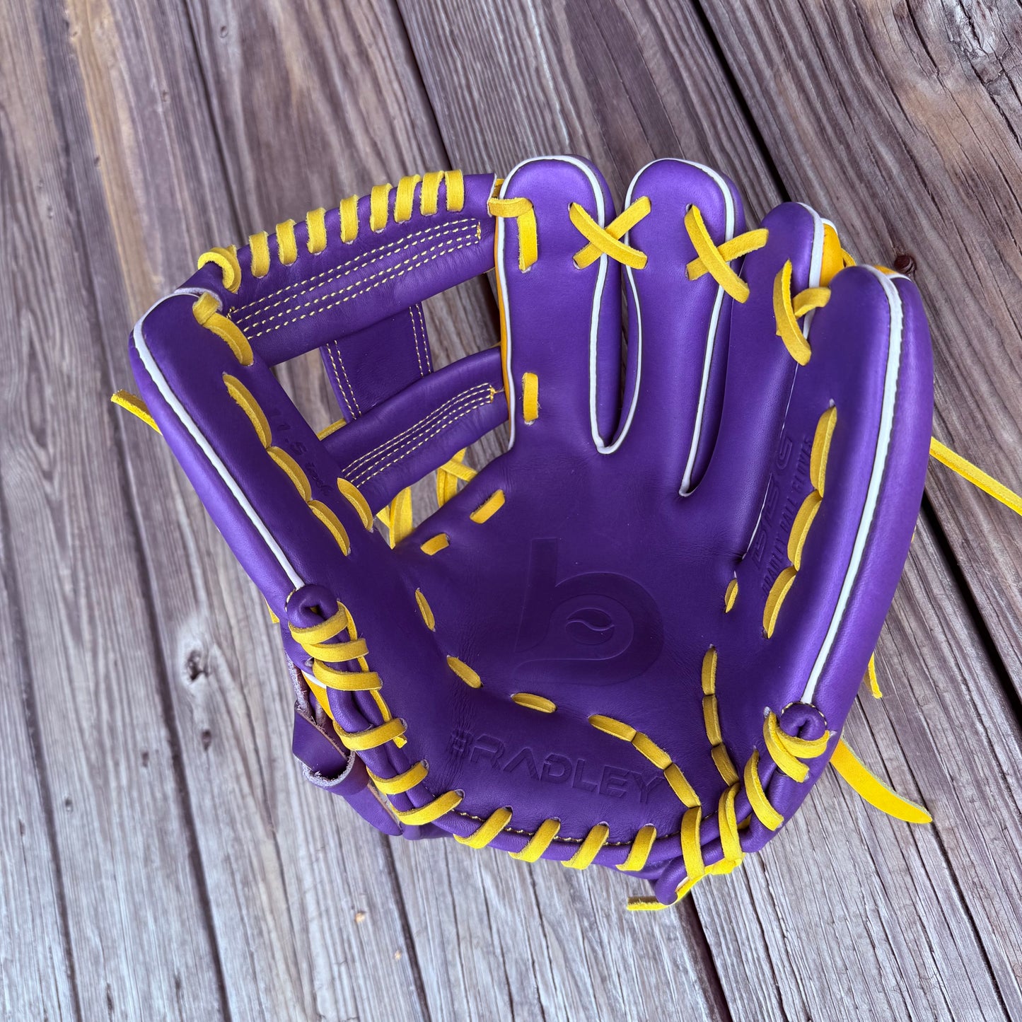 I-Web, BBG LTD Purple/Gold