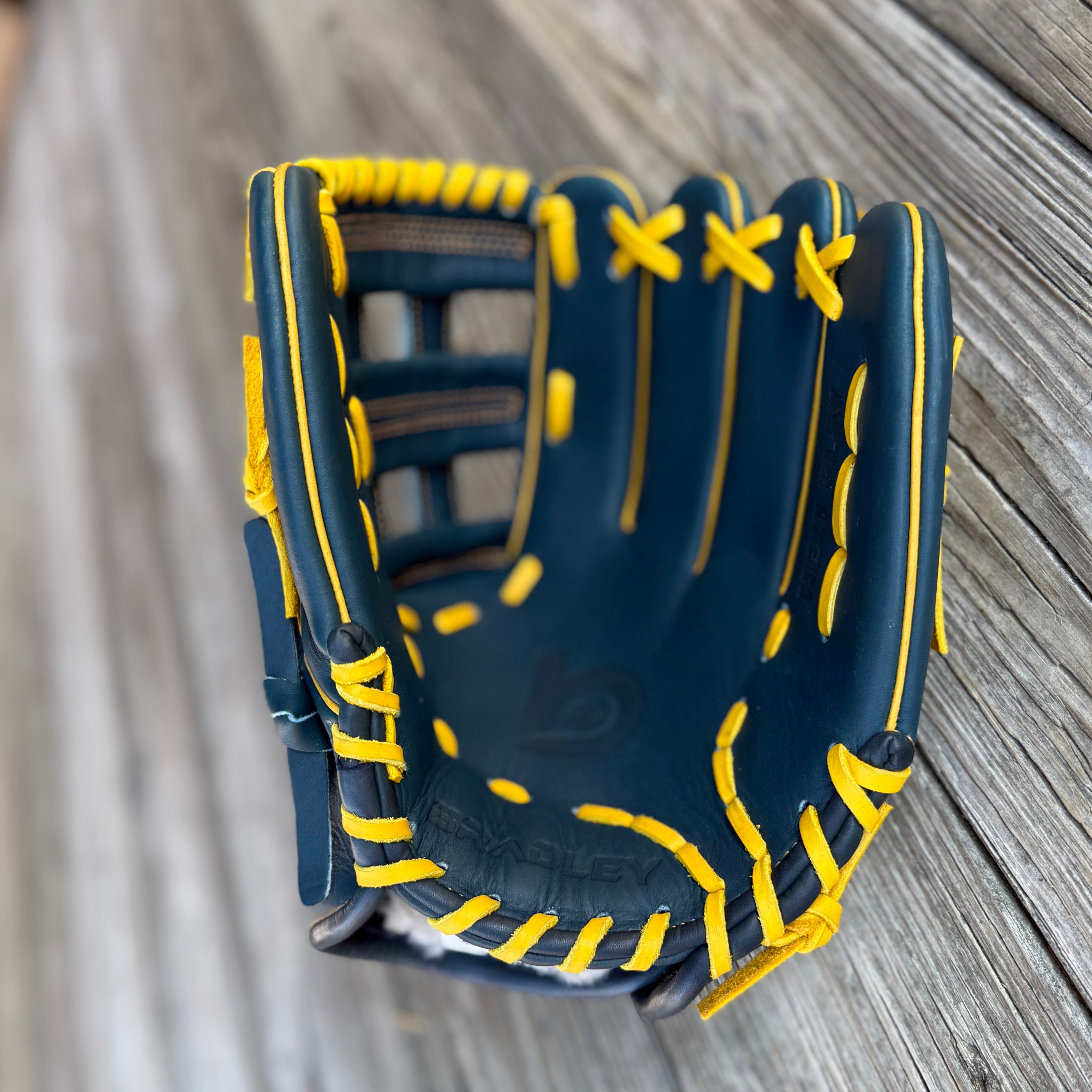 H-Web, Next Play Series Texas Steerhide,5-STAR (Navy/Gold